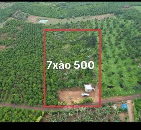 Bán 7sao5 sẵn 3 sổ quy hoạch tcĐất cafê đẹp thu đậm, có hồ , tròi đầy đủ ô tô tận nơi