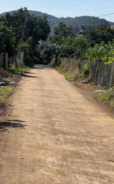 𝑩𝑨́𝑵 𝑮𝑨̂́𝑷 𝑳𝑶̂ Đ𝑬̣𝑷 𝑺Ố 𝑻𝑨̀𝑰 888𝒎² – 𝑻2 𝑴𝑬̂ 𝑳𝑰𝑵𝑯, 𝑵𝑨𝑴 𝑩𝑨𝑵 GIẢM SỐC 400