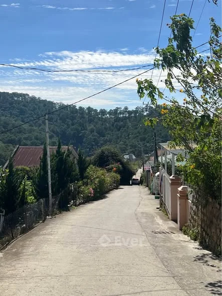 BÁN HOMESTAY – VIEW THÔNG VĨNH VIỄN Đường Hoàng Hoa Thám – P10 – Đà Lạt Vị trí đẹp hiếm có – khu ho