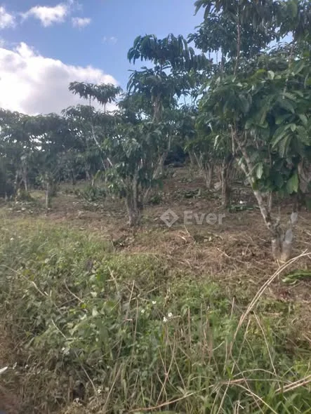 BÁN GẤP 2 xào 633 mặt tiền phan Huy ích phường 3 bảo lộc giá 1t650 thương lượng - 1,65 tỷ - 90m²