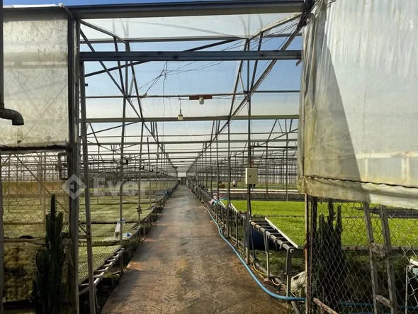 Cần bán lô đất định cư đầu tư toạ lạc tại khu dân cư Hòn Bồ Thái PhiênDt 200m²