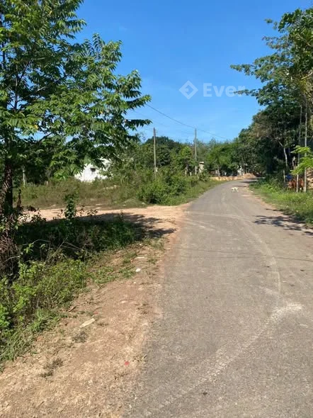 Gia đình cần bán lô đất mặt tiền đường nhựa đồng Tâm đồng Phú Bình Phước - 1 tỷ - 78m²