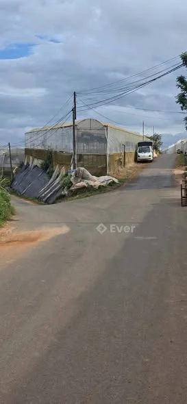 590m2 diện tích thực tế 890m2 giá 3,2 tỉ Xuân Thọ, Đà Lạt. Đất có view rất đẹp 180 độ không bị che