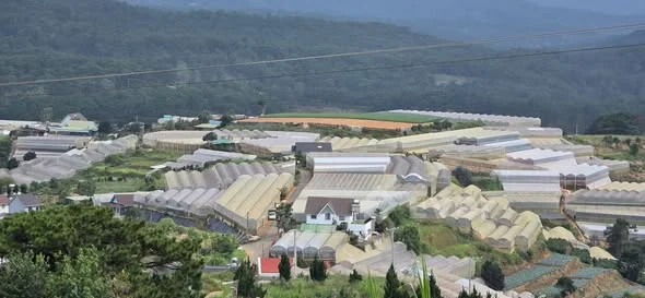 Ảnh bất động sản