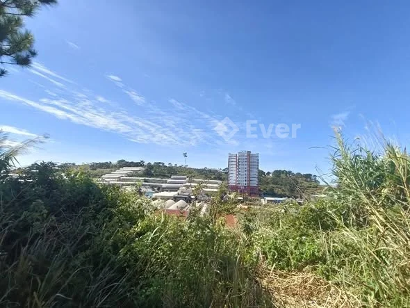 Cần bán lô đất khu quy hoạch nguyễn hoàng ,p7.Diện tích: 110 m2.