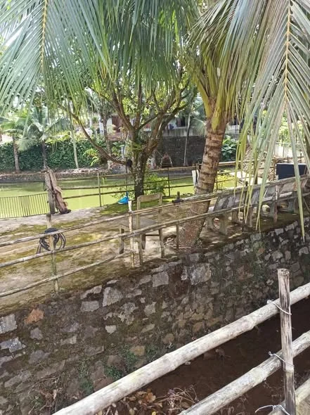 Alo alo Giá 1 tỷ 3 rẻ nhất kv lô đất đẹp thích hợp nghĩ dưỡng gần trung tâm Bảo Lộc - 1 tỷ - 200m²