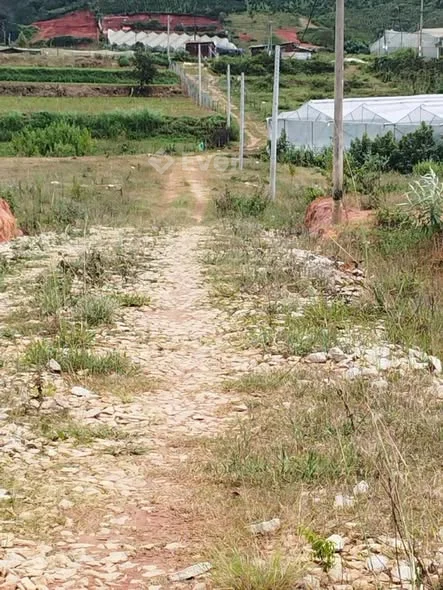 Chủ goi bán 542 m2 Đất Sổ riêng Nông nghiệp .Đất thuộc Lạc dương ( Phường Lang Biang - Đà Lạt )