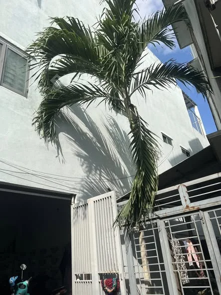 NHÀ 3 TẦNG HOÀ MỸ 9-- 10 PHÒNG CHO THUÊ- DÒNG TIỀN ỔN ĐỊNH