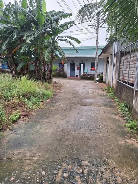 Bán lô đất trồng cây hằng năm, 285m2 gần nhà dân ở gần trường sơn giá rẻ 2xx triệu