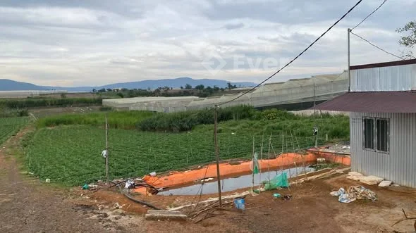 Cần bán 10.000 m2 tại Quảng Lập, Đơn Dương, Lâm Đồng- Đường đất cách đường nhựa 50m