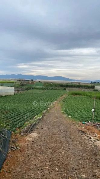 Cần bán 10.000 m2 tại Quảng Lập, Đơn Dương, Lâm Đồng- Đường đất cách đường nhựa 50m