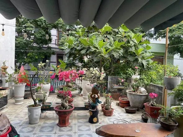 Ảnh bất động sản