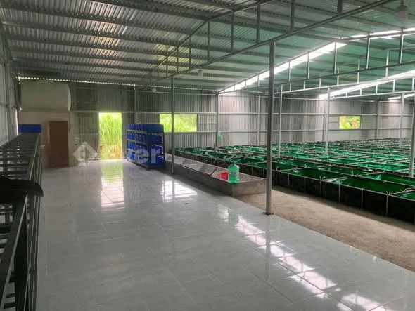 Bán xưởng cá cảnh.Ngay UBND Xã Hòa Vang, dt 700m2 có 200m2 đất ở + nhà xưởng. Đường ôtô 5m, cao ráo,