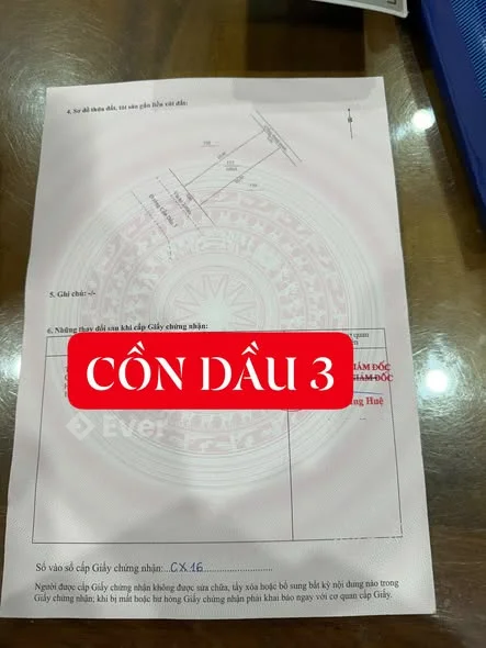 BÁN LÔ ĐẤT ĐẸP ĐƯỜNG 5M5 CỒN DẦU 3 - VỊ TRÍ VIEW CÔNG VIÊN - HÒA XUÂN, ĐÀ NẴNG - GIÁ 5,15 TỶ TL