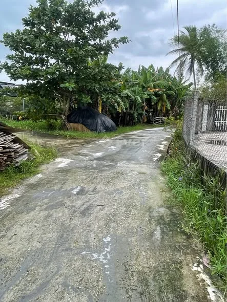 Đất đường bê tông 4m Bình Phục - Xã Thăng Bình - TP. Đà Nẵng. - Vị trí : gần chợ, trường học, cách Q