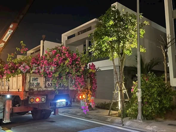 Ảnh bất động sản