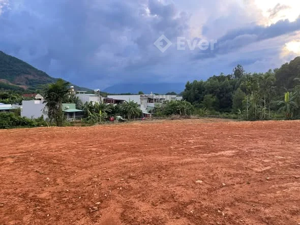 CHÍNH CHỦ GỬI BÁN LÔ ĐẤT VƯỜN HOÀ NINH Diện tích:3850m (đất trồng cây lâu năm )