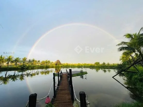 ĐẤT LỚN TRUNG TÂM – HỘI AN – PHÙ HỢP XÂY KHÁCH SẠN Nguyễn Duy Hiệu – tâm điểm du lịch Hội An