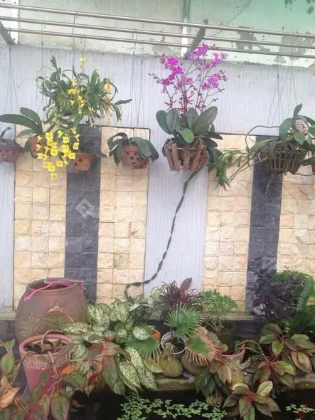 Nhà 3 tầng – full nội thất cao cấp – Đặng Nguyên Cẩn (Hải Châu)Vị trí trung tâm – tiện ích đủ đầy