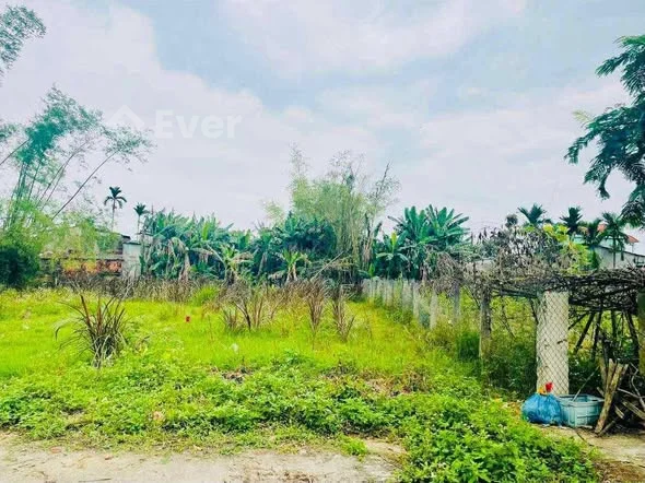 Bán gấp lô đất vườn rộng gần chợ Lạc Thành Đông - Điện Hồng Diện tích 186m2, gần full đất ở