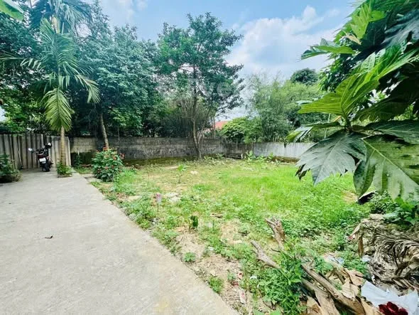 Ảnh bất động sản