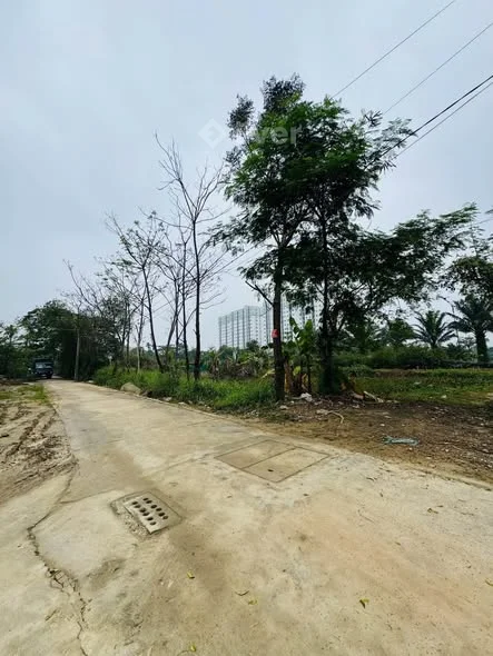 ĐẤT KIỆT Ô TÔ NGUYỄN CỬU VÂN – CẠNH KĐT ECOGARDEN – GIÁ CHỈ TỪ 1 TỶ 4XX
Diện tích: 64–66m², ngang