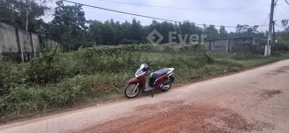 Đất Mặt tiền kiệt oto 301 Trưng nữ vương - Thuỷ Dương, TP Huế 1,450 Tỷ thương lượng