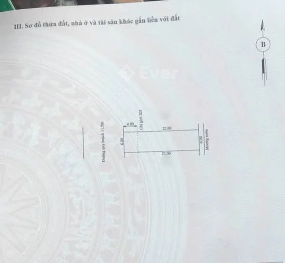 KQH NGỌC ANH – ĐỐI DIỆN TRƯỜNG THCS PHÚ THƯỢNG 1, TP. HUẾVỊ TRÍ ĐẸP - Thỏa thuận - 132m²