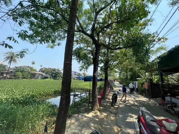 Đất Mặt Tiền Tú Xương – Tây Lộc, TP Huế | GIÁ 3,xxx TỶ