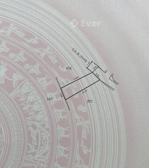 Đất Kiệt 77 Trần Thái Tông Gần Đường Chính - Cao Ráo Không Lụt • Diện tích: 72m2. Ngang 4m4. Nở hậu