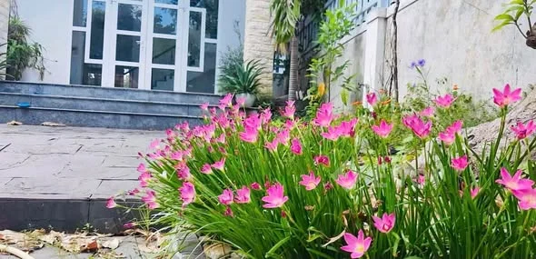 Ảnh bất động sản