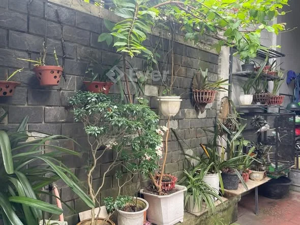 Ngôi nhà 3 tầng đẹp, phủ bóng cây xanh, hoa lá ngát hương. Nhà mặt tiền đường Trần Quý Kiên