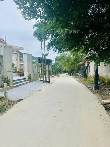 BÁN ĐẤT F0 MẶT TIỀN NGUYÊN DƯƠNG TRỰC, PHƯỜNG THANH THỦY, HUẾ