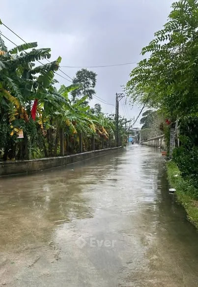 Bán đất kiệt 106 MINH MẠNG, P. Thủy Xuân, TP Huế  Giá chỉ 1ty6- Diện tích 100m2 - 1,6 tỷ - 100m²