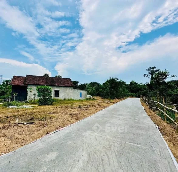 Đất kiệt Trưng Nữ Vương – chỉ 8xx triệu Cách đường chính 120m, ô tô vào tận đất 114m²