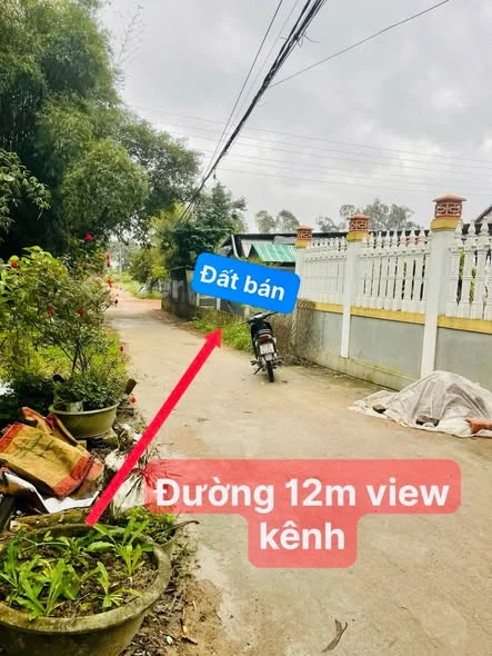 Dân Cắt lỗ – Bán nhanh đất mặt tiền Phùng Lưu, Thủy Dương 100m² (ngang 5m)