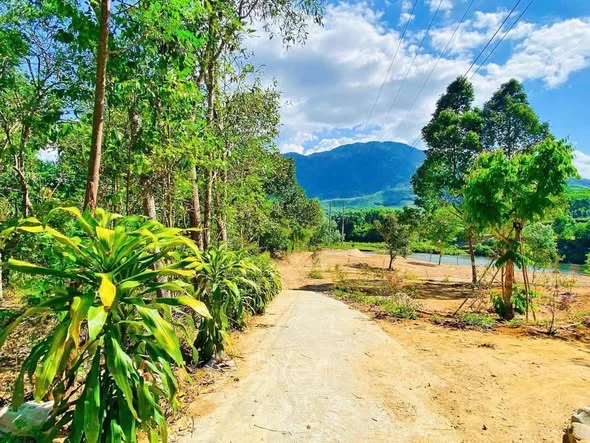 Lô đất view sông cực đẹp tại xã Lộc Hòa, Phú Lộc