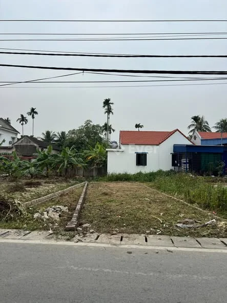 Chào bán lô đất mặt đường trải nhựa lâm động,thuỷ nguyên,hp