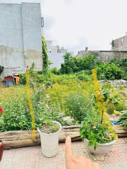 Ảnh bất động sản