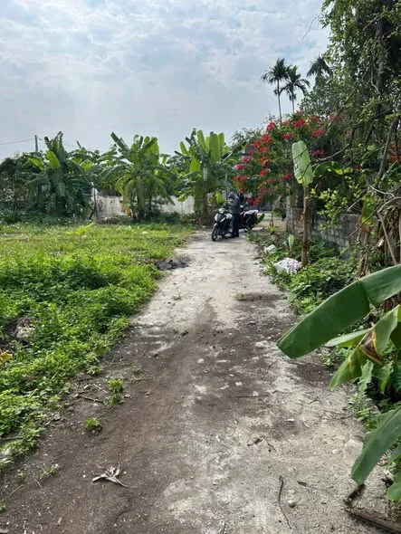 - Bán lô đất tại Vũ Vị - Minh Tân - Kiến Thụy - Hải Phòng - Diện tích : 66m2