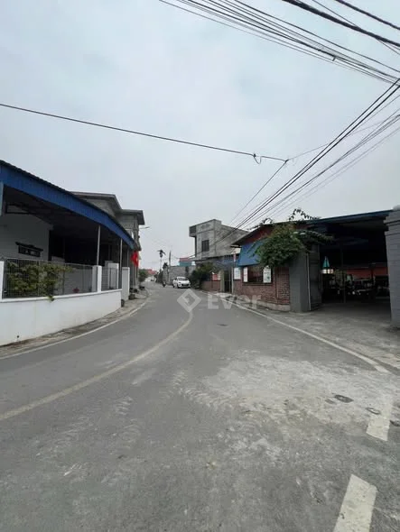 Bên em chuẩn bị ra hàng 6lô F0 tại Chính Mỹ , Thủy Nguyên