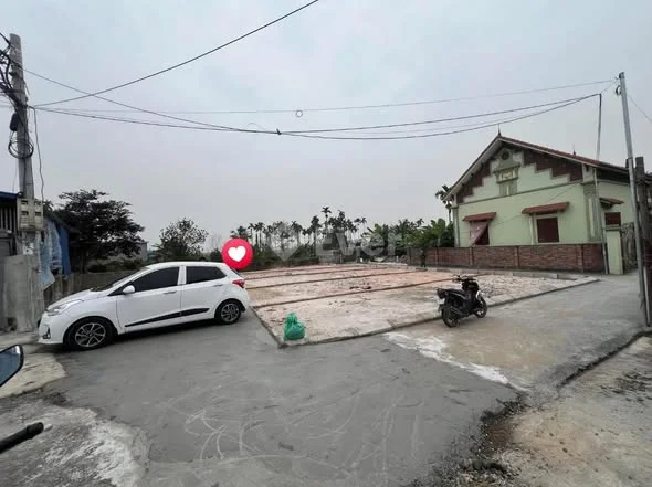 Bên em chuẩn bị ra hàng 6lô F0 tại Chính Mỹ , Thủy Nguyên