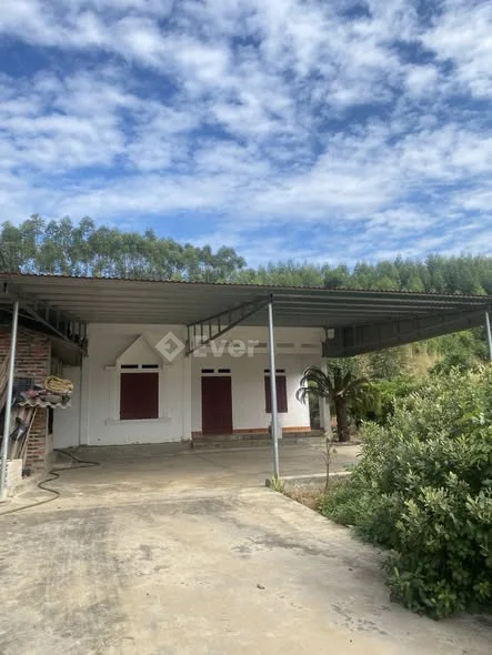 Bán đất đẹp tại Chí Linh, Hải Dương