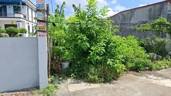 Chính chủ cần bán lô Đất đẹptại Phương Chử Đông - Trường Thành - An Lão