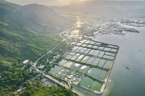 BÁN LÔ ĐẤT VIEW VỊNH CAM RANH SIÊU ĐẸP – MẶT TIỀN ĐƯỜNG 702 VĨNH HY  DT: 500m² (Ngang 10m) - Thỏa thuận - 465m²