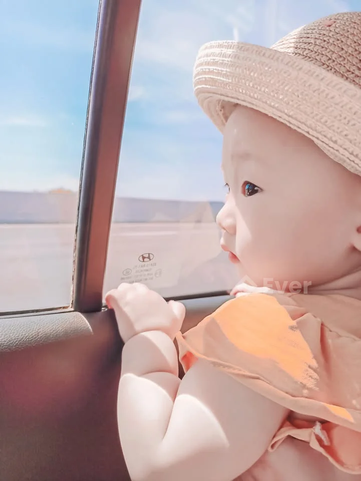 Ảnh đại diện Triệu Đình Lâm