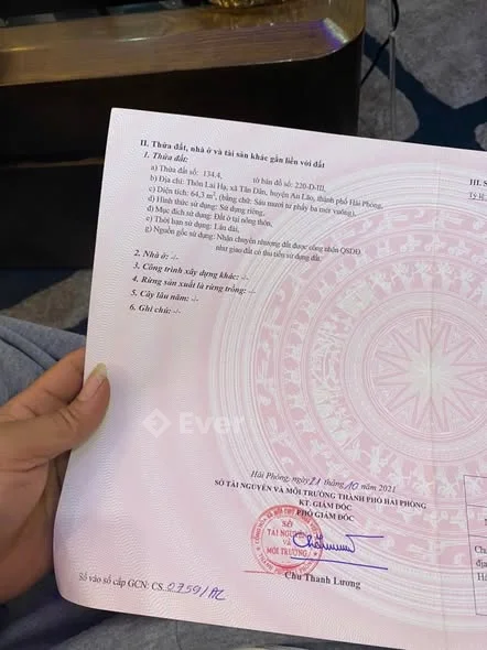 Chính chủ bán lô đất gốc dân tại Lai Hạ- Tân Dân - An Lão - HP