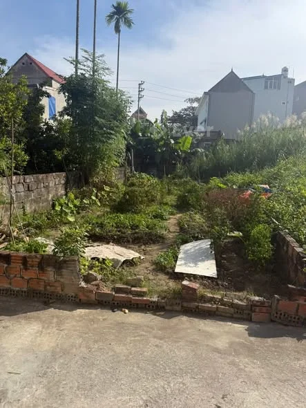 Chủ cần thanh khoản gấp lô đất thôn Hầu Lâm động