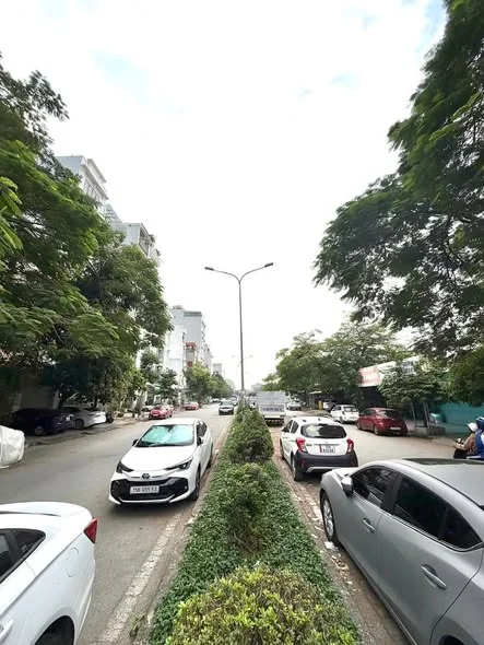 Ảnh đại diện Thao Tranphuong