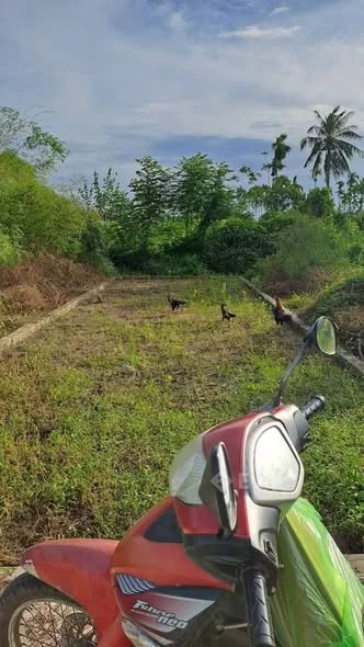 Em gái nhờ bán lô đất tại Quảng Thanh - phường Lê ích Mộc Tp Hải Phòng